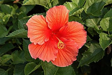 《隐形守护者》团队互动影视新作《盛世天下》今日首曝！